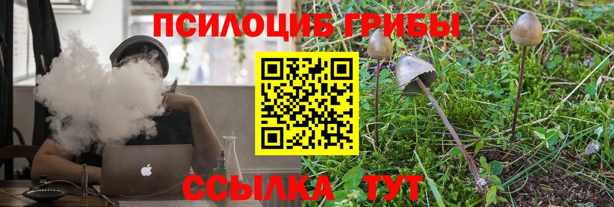 Касимов  даркнет сайт  Вход с VPN  Псилоцибиновые грибы Psilocybe 